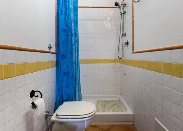 Perugino * 维拉西米乌斯