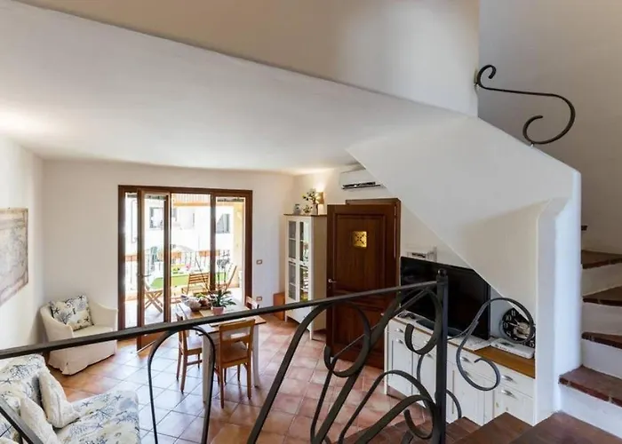 Perugino 维拉西米乌斯